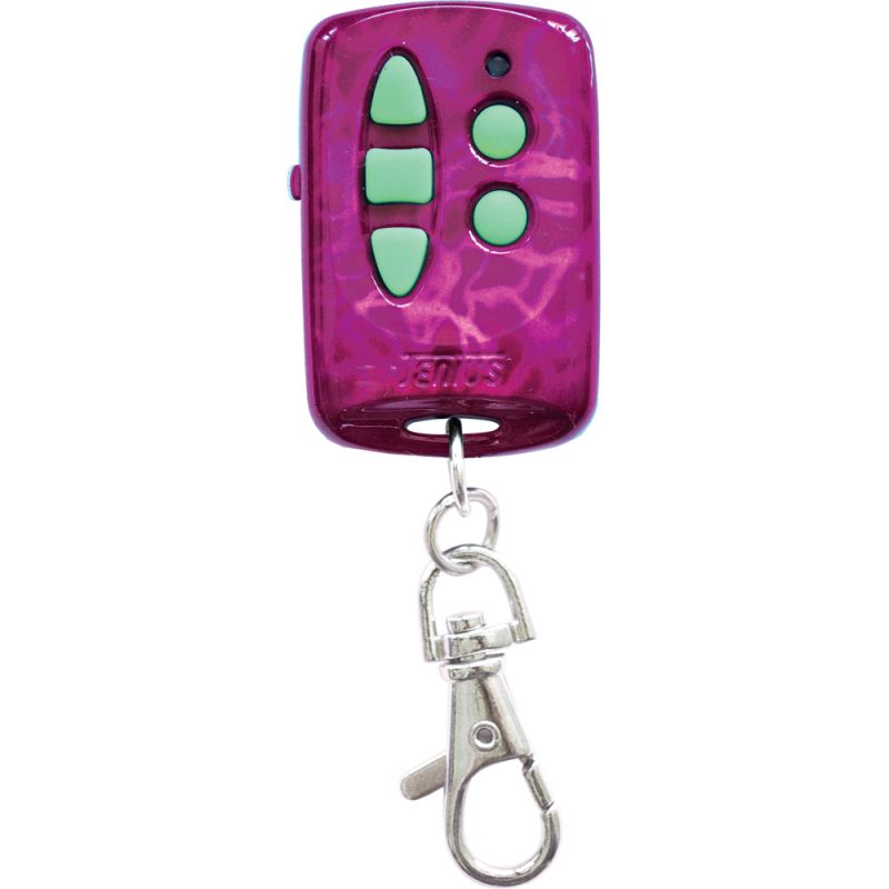 Universal paint 5 key remote